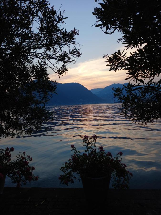 L'Oleandro Sul Lago D'Iseo B&B Sulzano Exterior photo