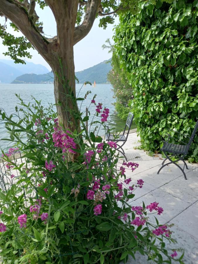 L'Oleandro Sul Lago D'Iseo B&B Sulzano Exterior photo