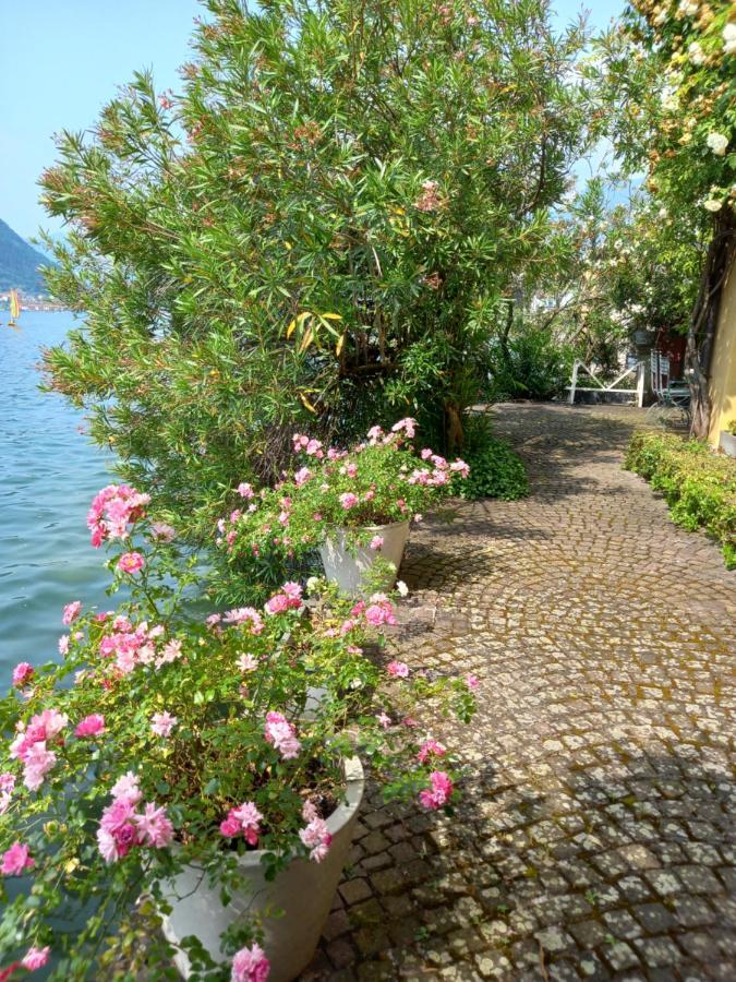 L'Oleandro Sul Lago D'Iseo B&B Sulzano Exterior photo