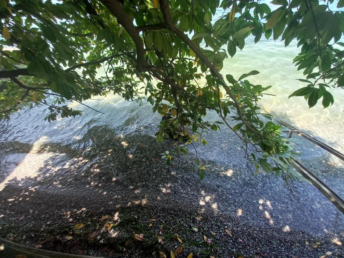 L'Oleandro Sul Lago D'Iseo B&B Sulzano Exterior photo