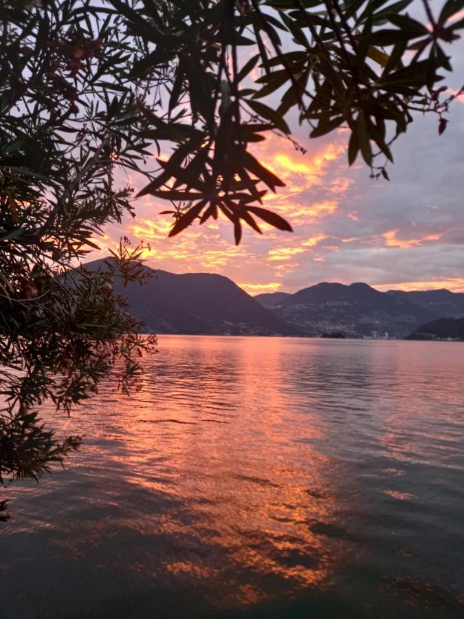 L'Oleandro Sul Lago D'Iseo B&B Sulzano Exterior photo