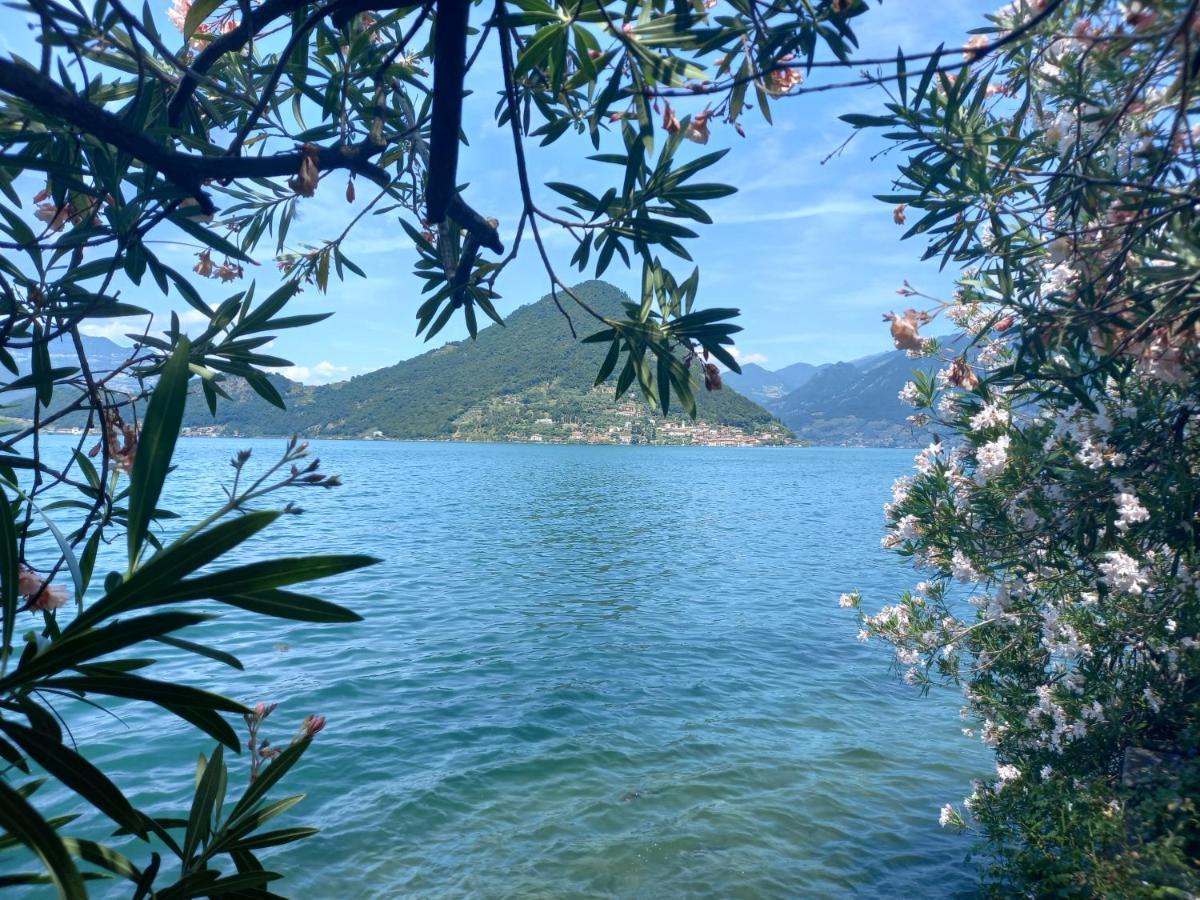 L'Oleandro Sul Lago D'Iseo B&B Sulzano Exterior photo