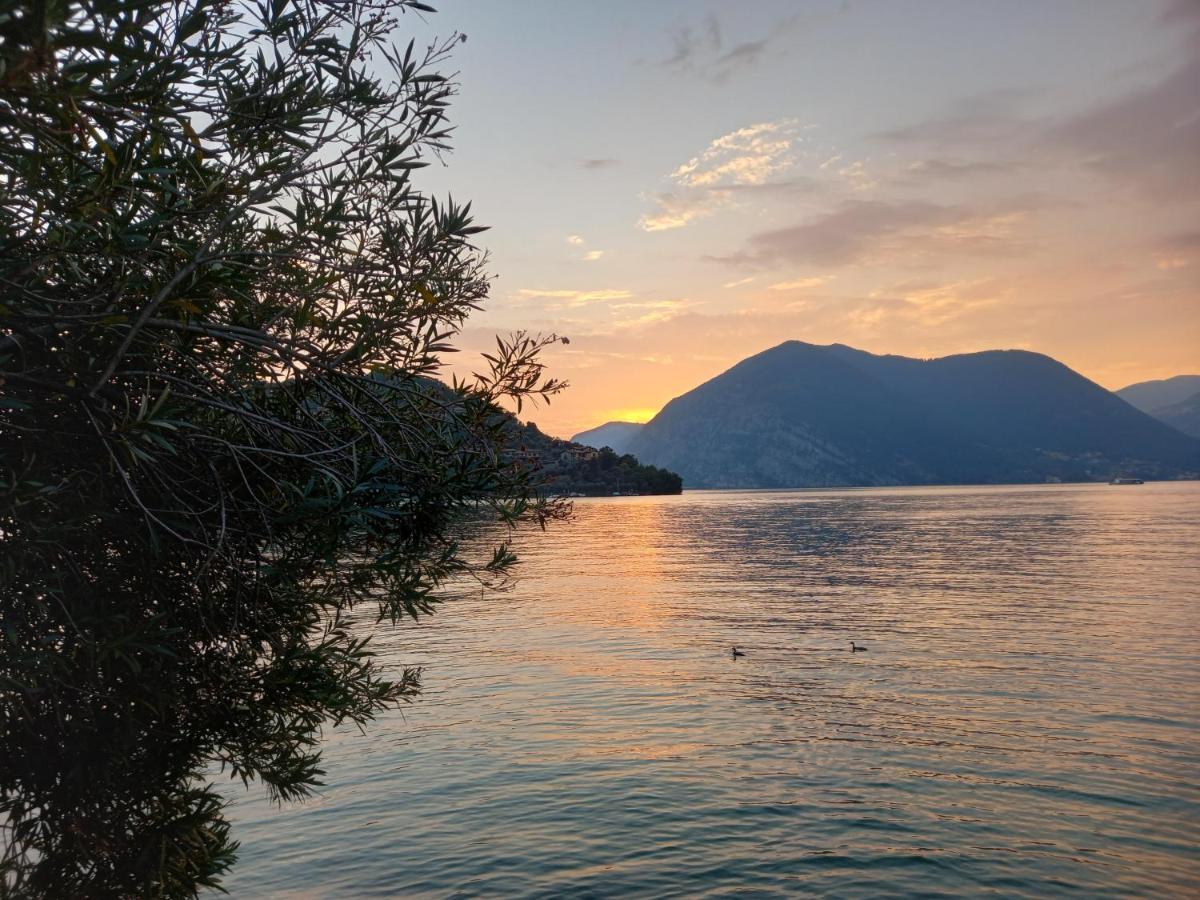 L'Oleandro Sul Lago D'Iseo B&B Sulzano Exterior photo