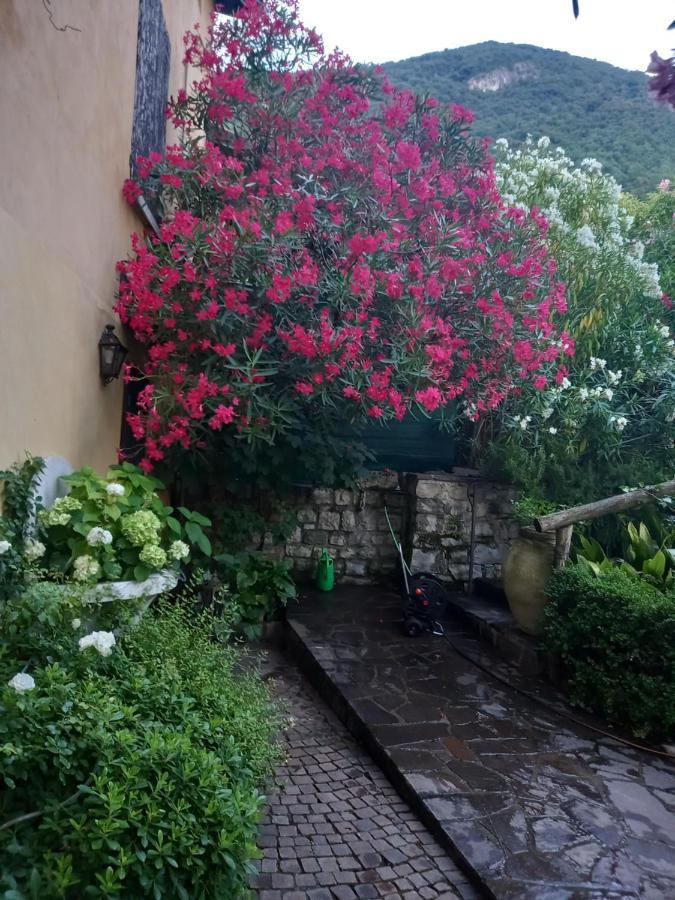 L'Oleandro Sul Lago D'Iseo B&B Sulzano Exterior photo